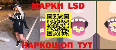 молекула духа Будённовск