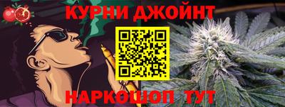молекула духа Будённовск
