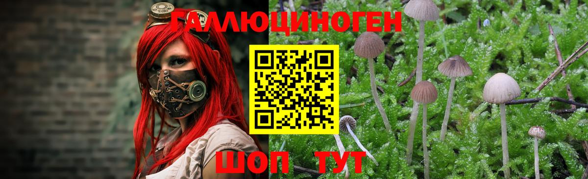 Карасук  Псилоцибиновые грибы Psilocybine cubensis  наркошоп  Галлюциногенные грибы ЛСД  Вход с VPN 